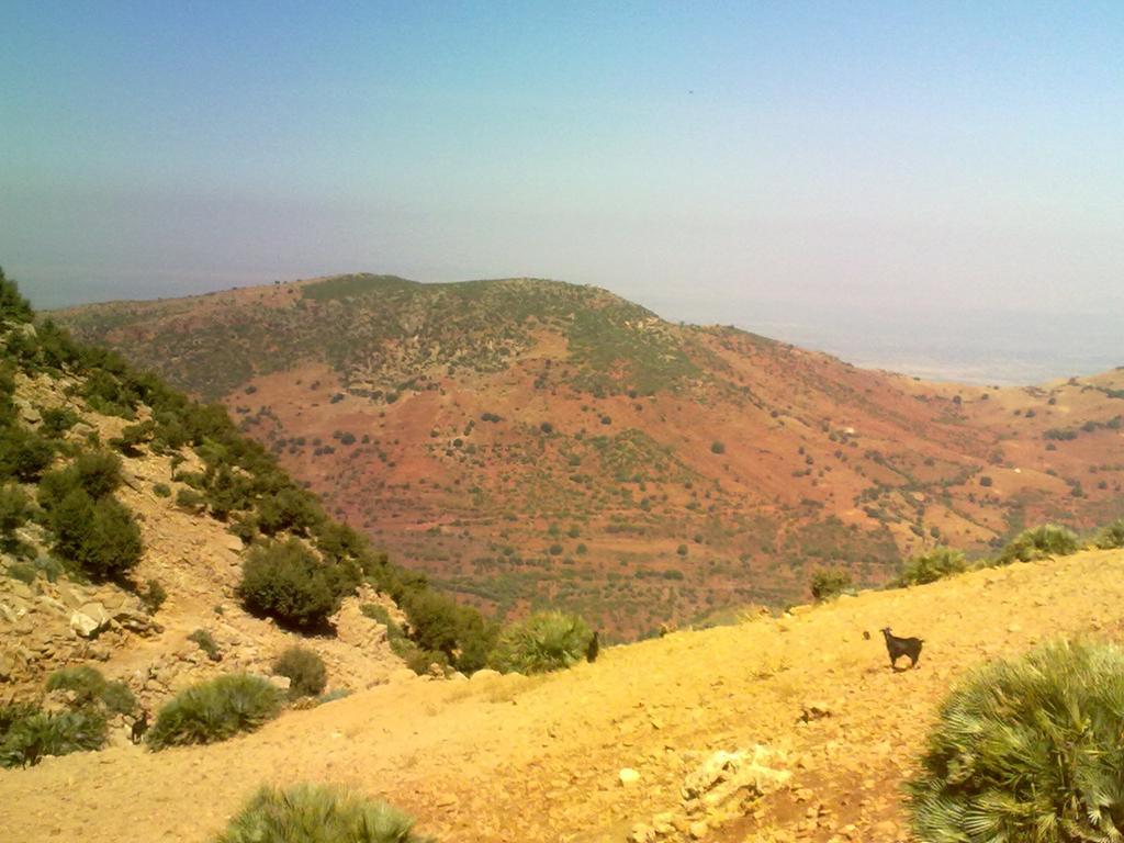 Maison D'Hotes Ait Bou Izryane Timoulilt Exterior foto
